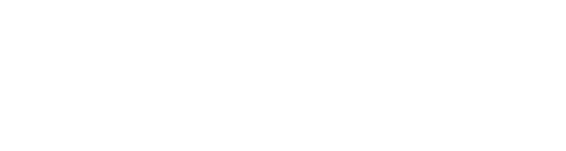 Anest Iwata Americas