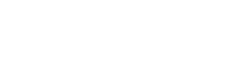 Anest Iwata USA